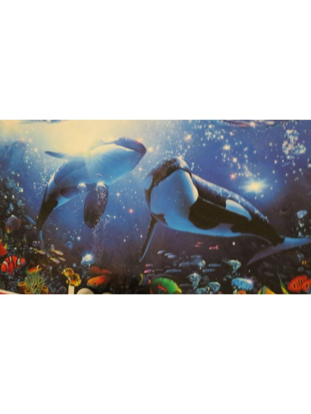 OCEAN MAGIC Paternoster Rainbow 1000 pcs Jigsaw Puzzle CEACO #42 #13 - Picture 2 of 3